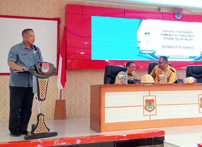 Bupati Banggai Melalui Asisten 3 Ajak Aparatur Pemda Konsisten Gunakan Produk Dalam Negeri. (Foto : Ist)