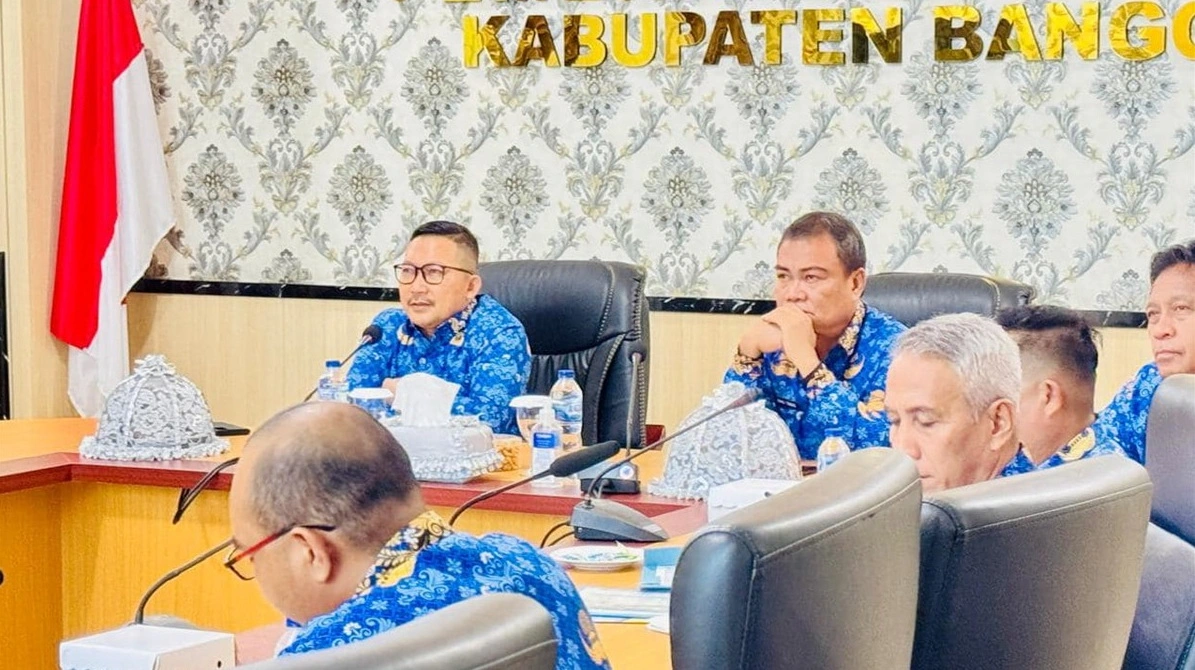 Bupati Banggai Ikuti Entry Meeting LKPD 2024